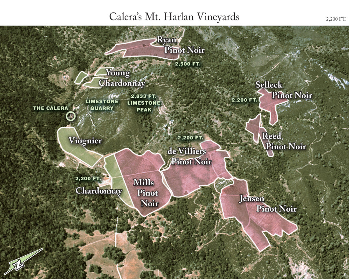 Calera: Singular Pinot Noirs from Mt Harlan - JebDunnuck.com