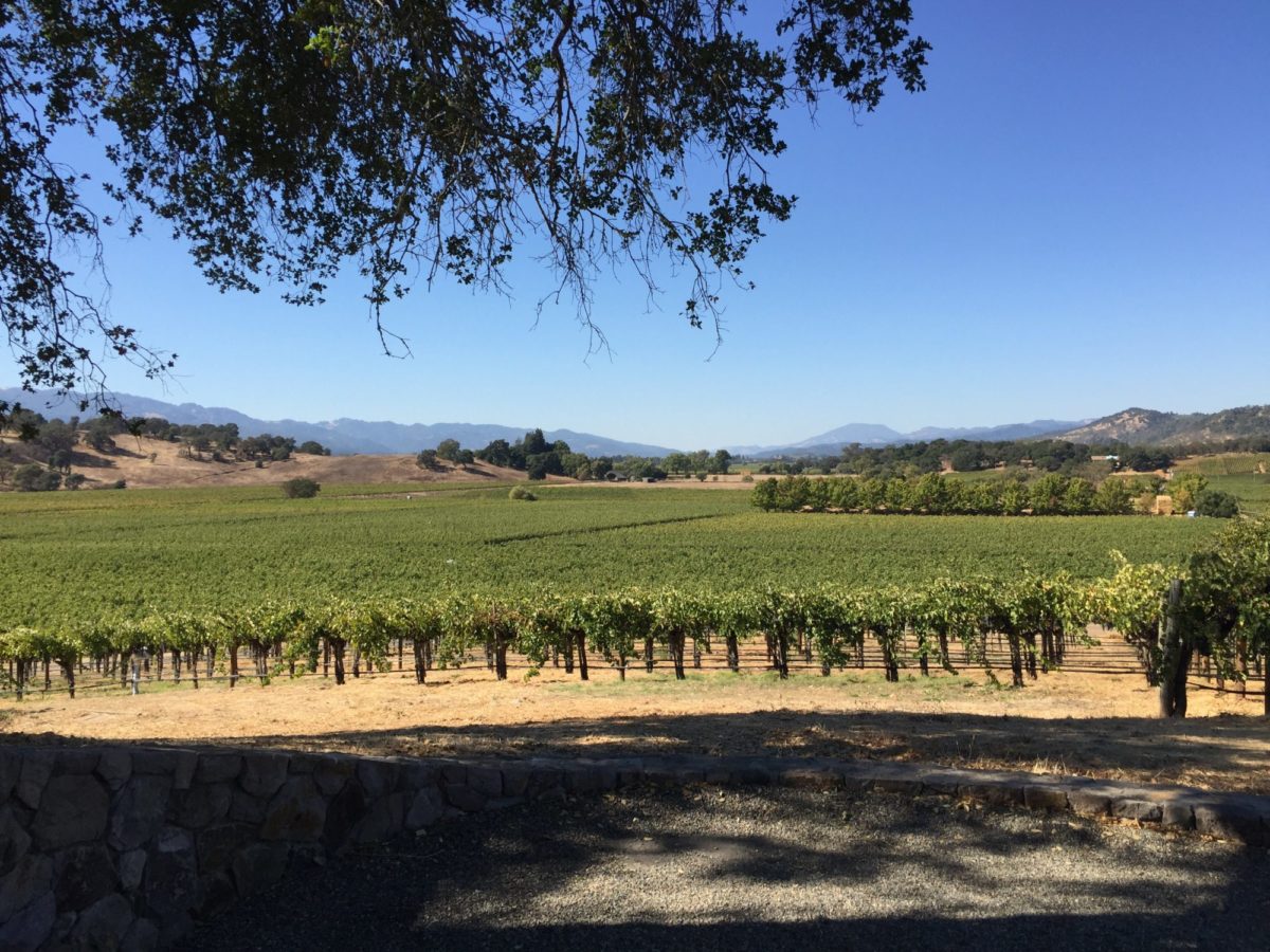 California, Napa Valley: Napa's Exuberant, Powerful 2015s - JebDunnuck.com