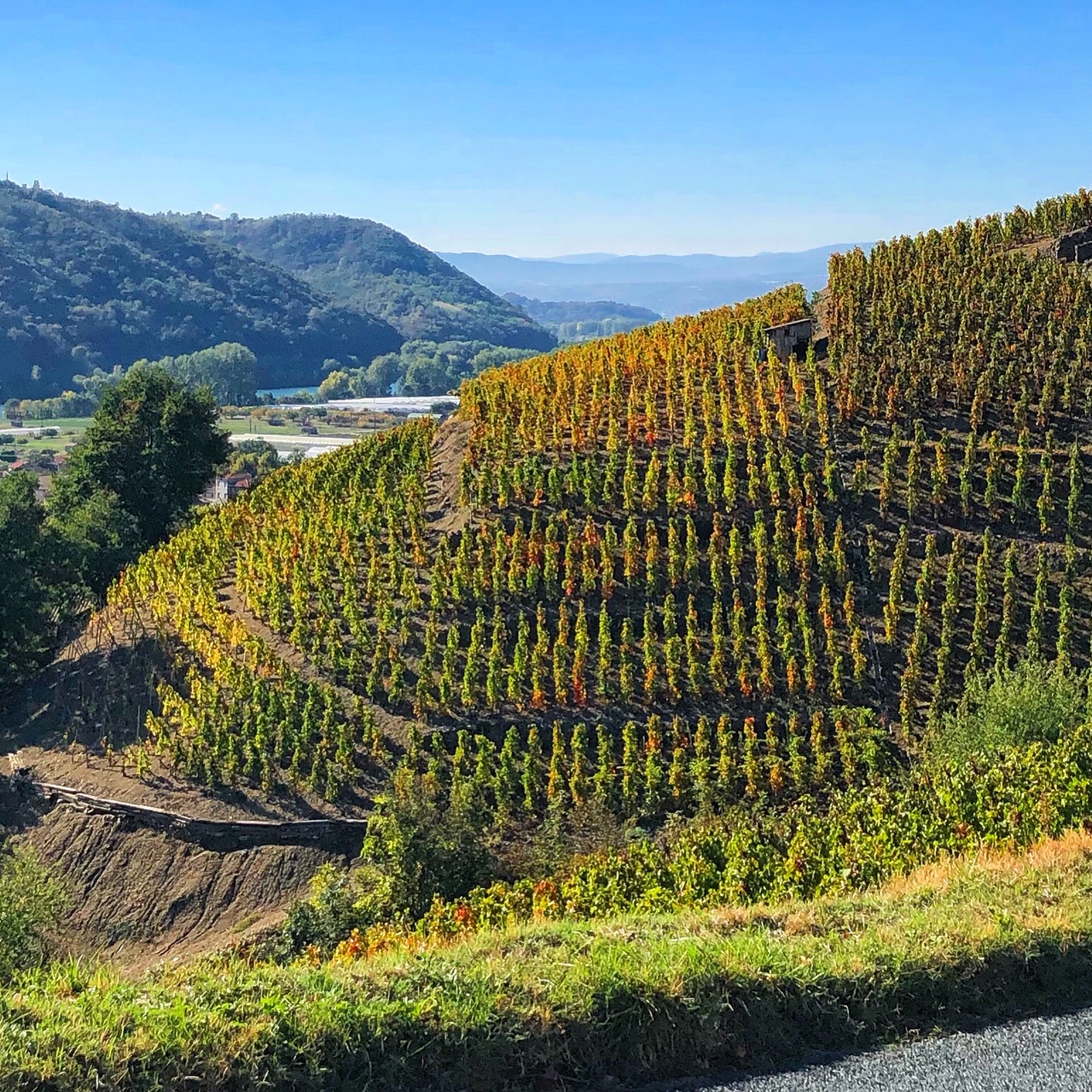 The Northern Rhône 2017 and 2018