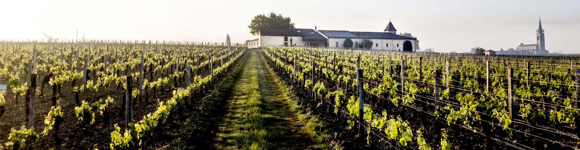 Clos L'Eglise 1998 to 2016 - JebDunnuck.com