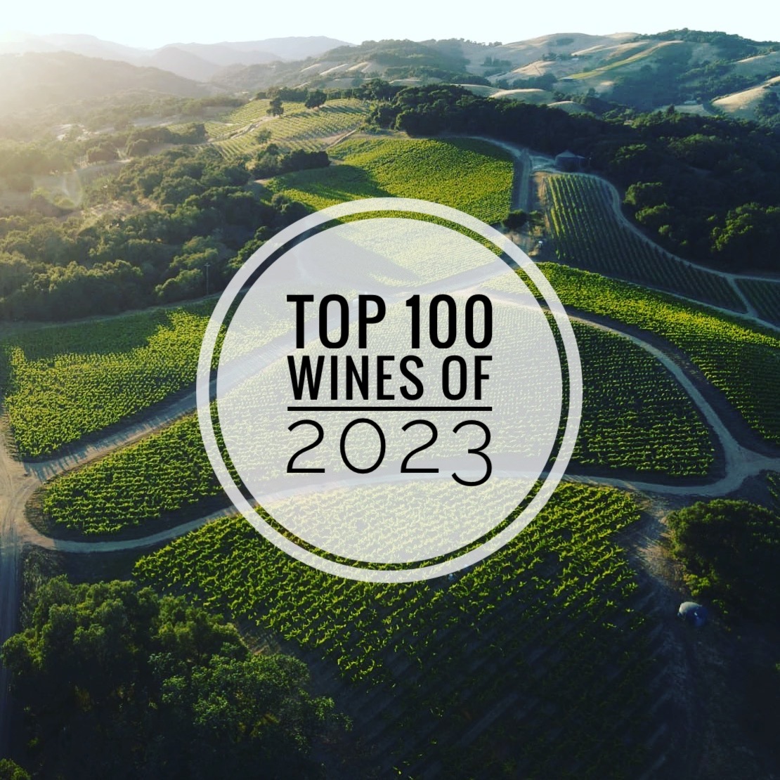 Top 100 Wines of 2023 