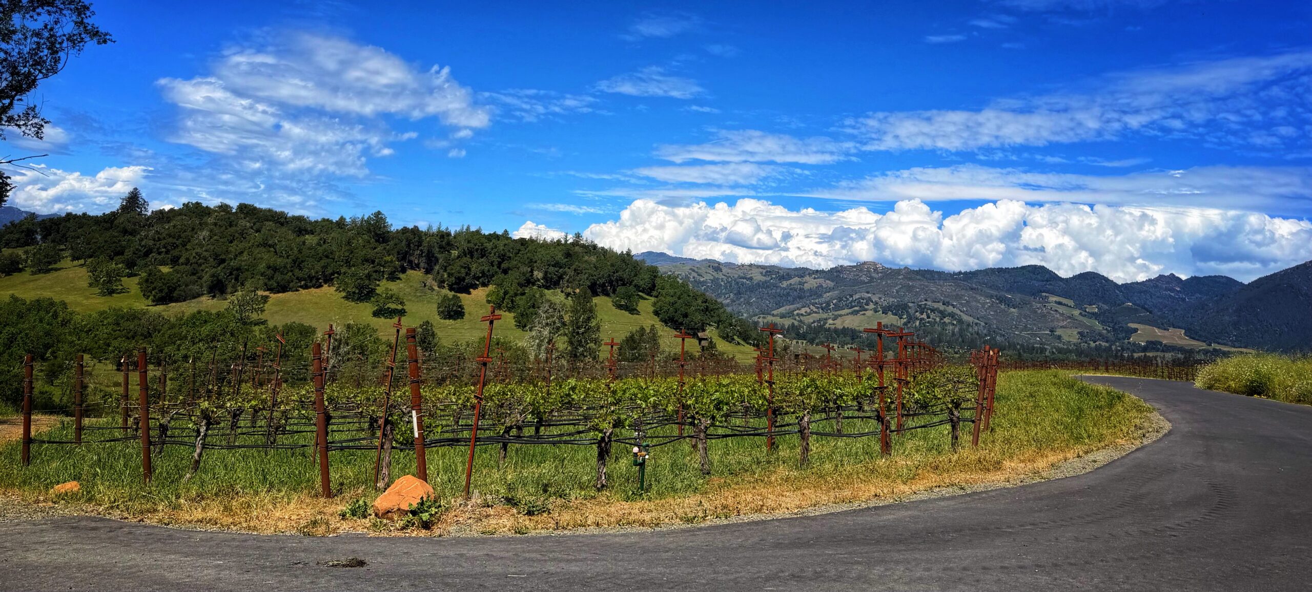 2024 and 2023 Sonoma County - JebDunnuck.com